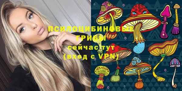 гидра Алексин