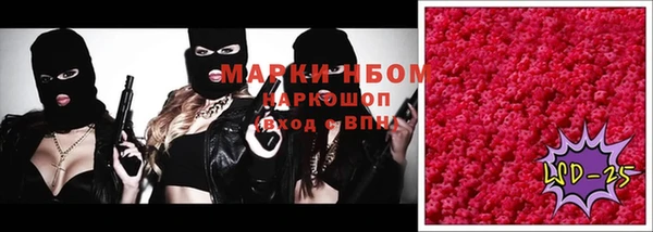 шишки Алзамай