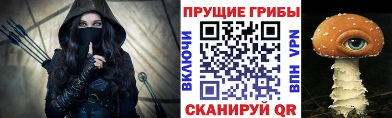OMG вход  Починок  Псилоцибиновые грибы Psilocybine cubensis 